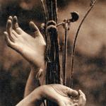 Steichen uses his painterly style with the camera to weave together the sinuous hands of his wife amongst some dried flora in the woods.